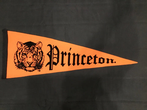 Vintage Princeton University Pennant