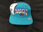 Charlotte Hornets The Game Snapback Hat NWT