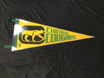 Team Pennant Chicago Cougars WHA Hockey Vintage 1970s