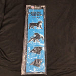 Heritage Banner - Football - Carolina Panthers 2