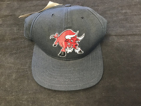 Tucson Toros Vintage Snapback Hat NWT