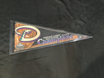 Team Pennant Arizona Diamondbacks 2002 National League West Division Champions