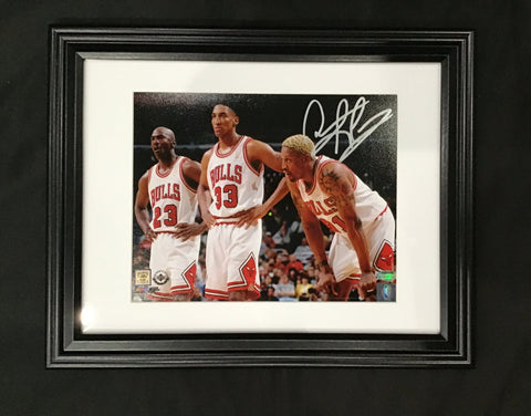 Dennis Rodman Chicago Bulls Autographed Photo Certified