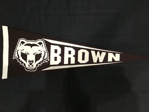 Vintage Brown University Pennant