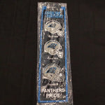 Heritage Banner - Football - Carolina Panthers