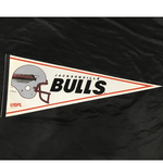 Team Pennant - Football - Jacksonville Bulls Vintage