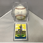 Brandon Webb - Autographed Baseball - Arizona Diamondbacks