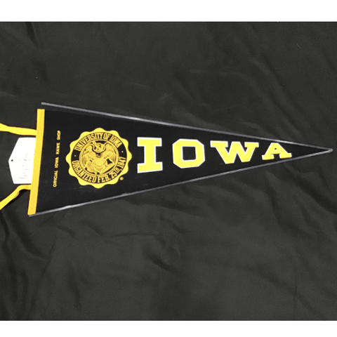Team Pennant - College - University of Iowa Vintage