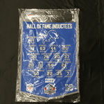 Hall of Fame Banner - Football - Detroit Lions