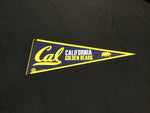 Team Pennant - College - California Golden Bears